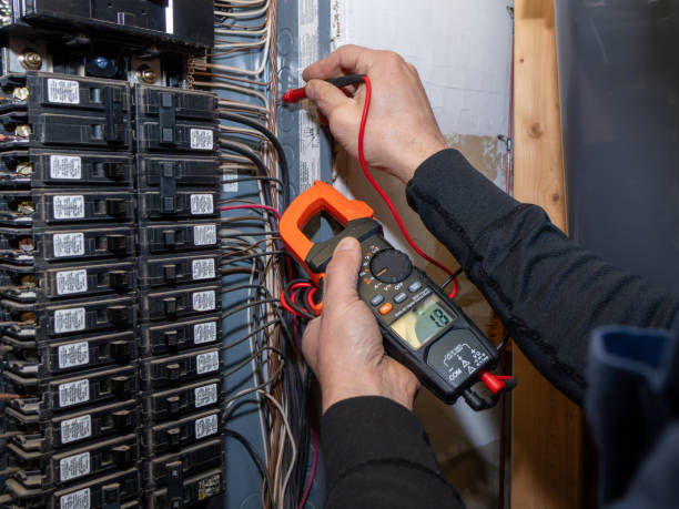 Best Ceiling Fan Installation Electrician  in Northlake, SC